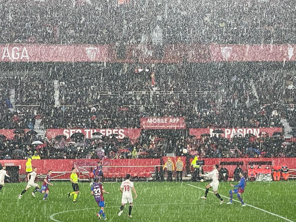 MacasevillonaG's tweet photo. Sevillistas de finales... https://t.co/dV4me107bx