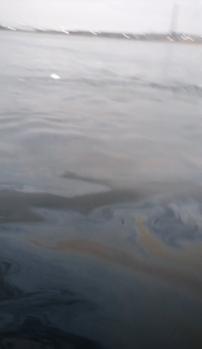 carito200481's tweet photo. Con mucha pena !! Esta mañana en quintero nos encontramos con otro derrame de petróleo en el mar, en el cuarto día de movilización de los pescadores ocurre esto! Hasta cuando?
@Jaime_Bassa @gabrielboric #ContigoCHV 
😔😔😔😔😔 Nos ayudan a difundir ! https://t.co/BW3LRpuTlr