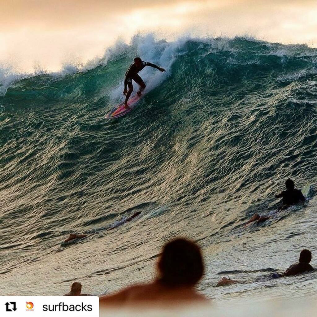 AMINOR_Tokyo's tweet photo. #Repost @surfbacks with @make_repost
・・・
Catch the moment 🤙🏼🧡
.
.
Tag somebody who would do this
Follow @surfbacks for more
.
.
Credit:
.
.
#surfbacks #surf #surfersparadise #surftrip #surfingphotography #surfingiseverything #surfinglife #surfcu… https://t.co/b45jErrsi1 https://t.co/8vGEtJQC3X