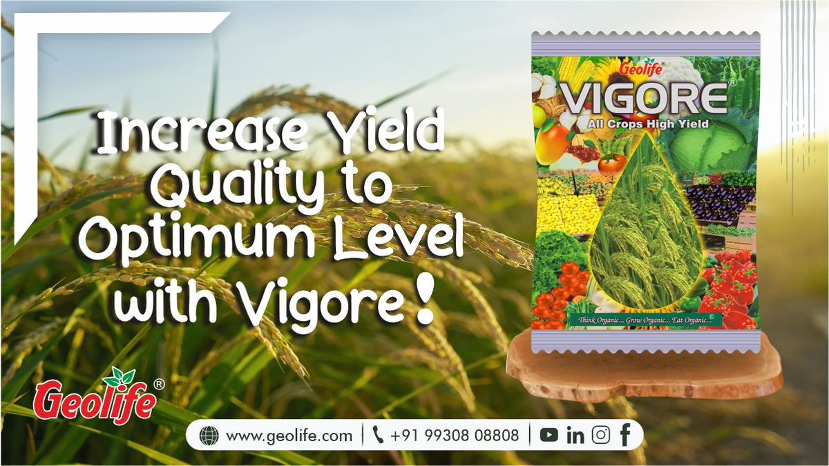 Increase Yield Quality to Optimum Level with #Vigore 
To know more - https://t.co/E3vJiEnoZl
Call - 9930808808
#geolife #geolifegroup #CompleteNutrition #CompleteNutritionPackage #farmers #agriculture #nanotechnology #agronanotechnology #nanotechnologyinagriculture #Fertilizer https://t.co/mDScGBhRds