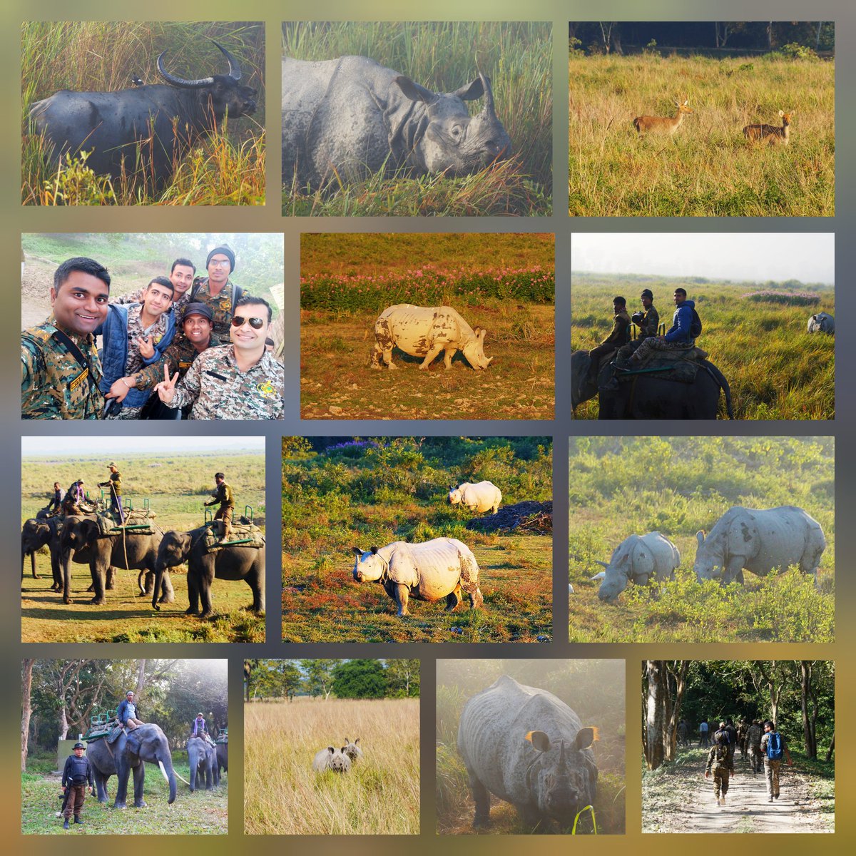 Revti_Raman_IFS's tweet photo. Land of Rhinos... @ Kaziranga National Park, Assam.
#Rhino #Assam #IFS_Training https://t.co/VFMds5kuLi