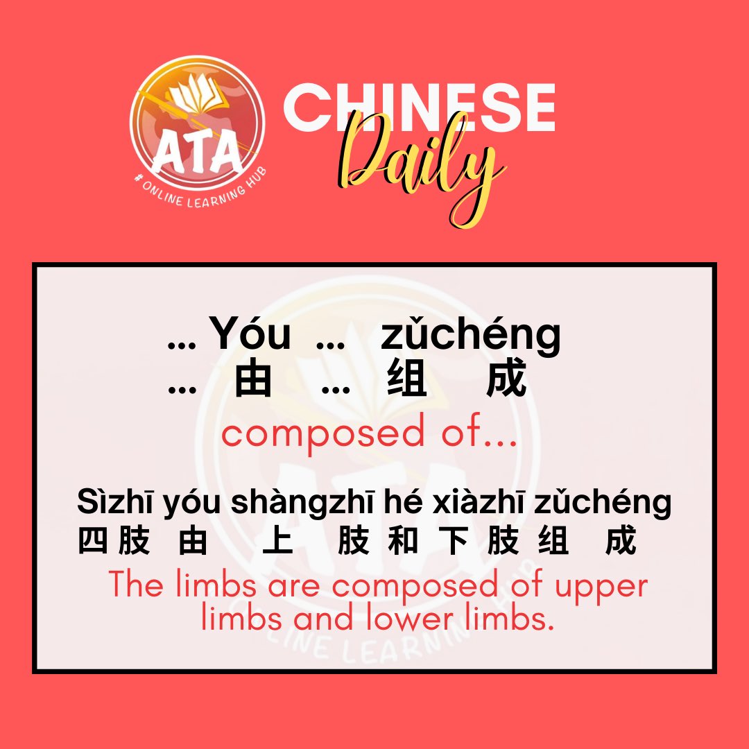 ata_learning's tweet photo. Learn Systemic Anatomy in Chinese  / Practical Medical Chinese Level 1
👇👇👇👇👇
https://t.co/JIU5hkTL6u

#bodyparts
#anatomy
#learnchinese
#medical https://t.co/rgq9H07uhG