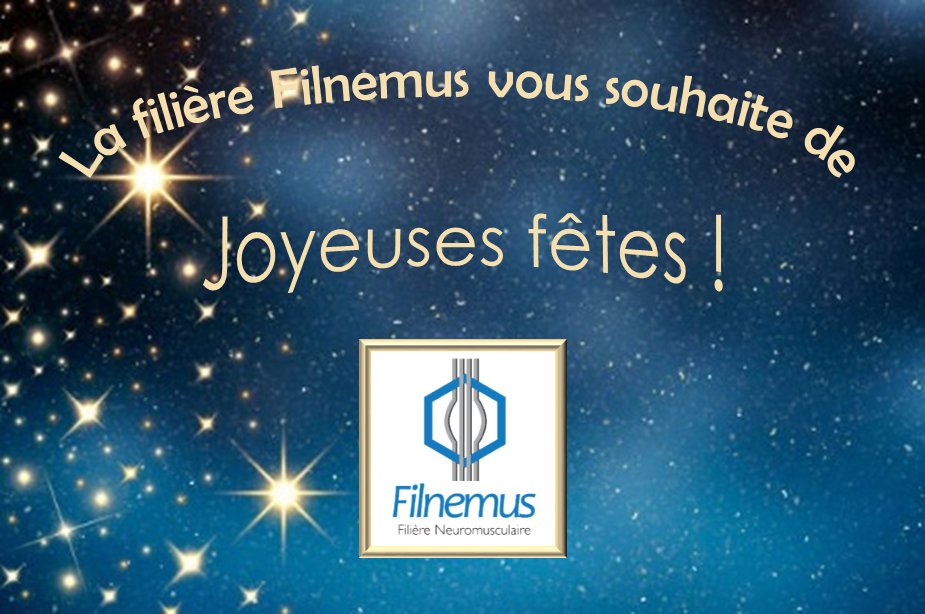 filnemus's tweet photo. La filière Filnemus vous souhaite de très belles fêtes de fin d'année!
#filnemus #neuromusculaire #maladierare https://t.co/ftLe6vYUm2