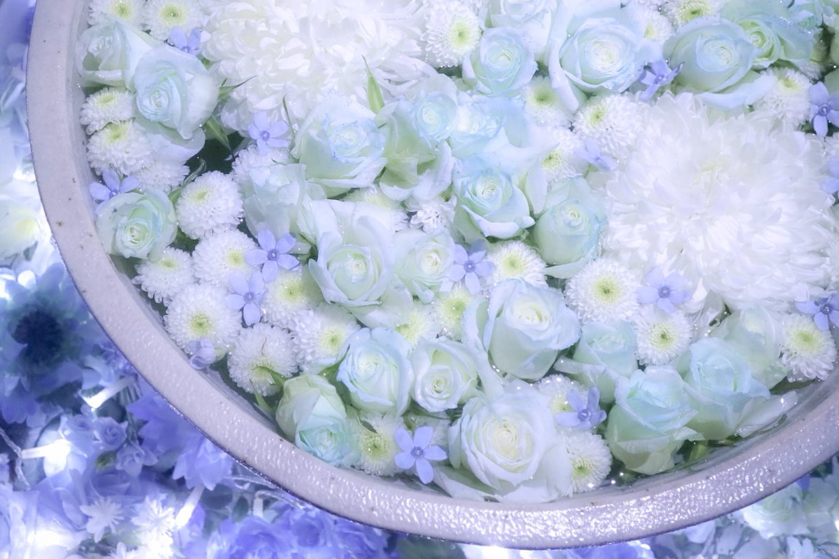 あしかがフラワーパークの花手水🌹