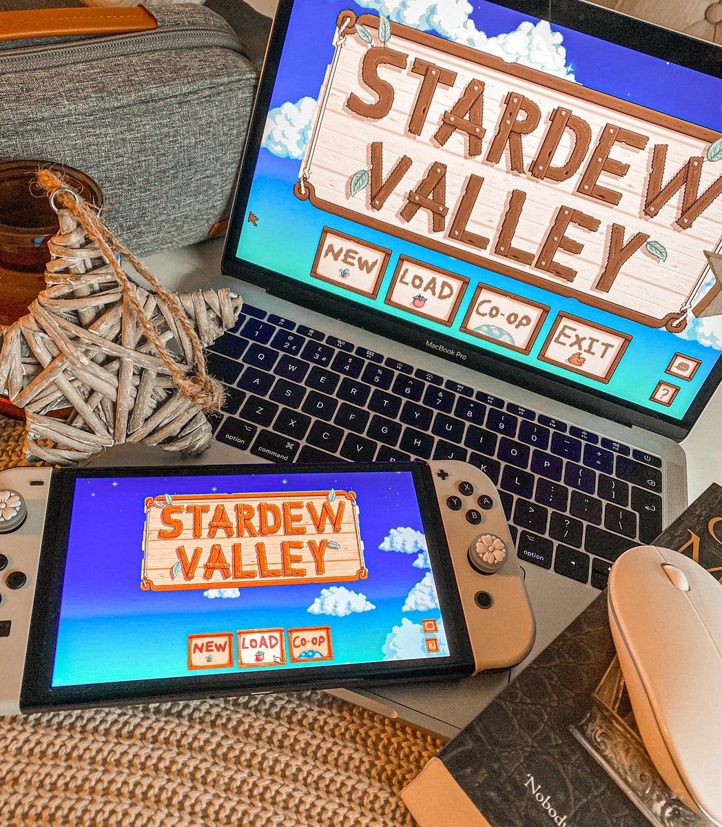 As you can see, all of my money goes to concernedape 😗✌🏻

#StardewValley