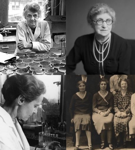 NCTC_3000's tweet photo. The women of #NCTC - celebrating all of the #female curators, depositors &amp; collaborators whose valuable contributions have made NCTC what it is today https://t.co/KSiIrAZviC @HotchPotchJake #WomenInScience #femalescientist #mabelrhodes #bacteria #culturecollection https://t.co/er6VTxFz5I