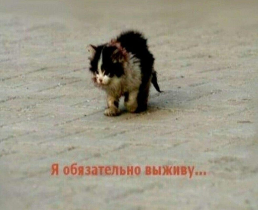 DancerEN_G's tweet photo. Итер, держим кулачки всей маршруткой https://t.co/RB1dhN26eJ