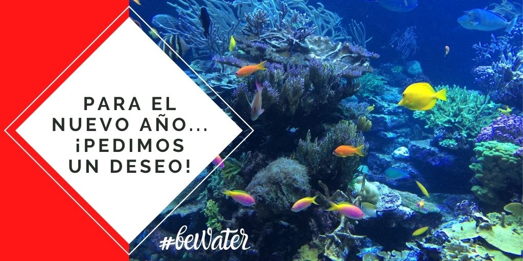 tecnograbber's tweet photo. Nuestro deseo para el 2022: ríos y mares más limpios y sin residuos. ¿Te apuntas?
#bewater #agualimpia #aguaesvida https://t.co/HPsd2ZD0Nt