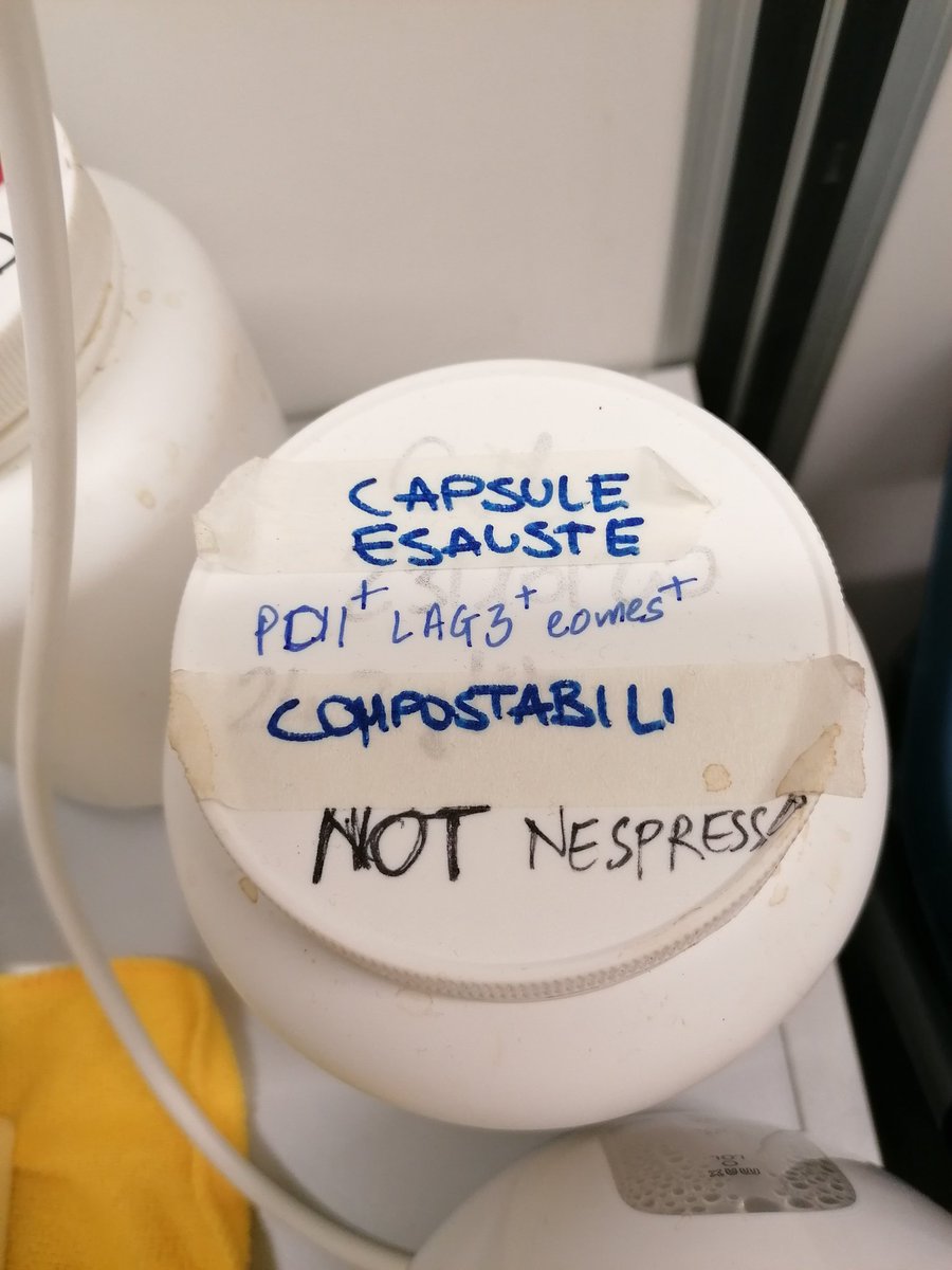 Luciano Morosi (@lucianomorosi) on Twitter photo - What would you like to drink sir?
- An exhausted T-cell ristretto, please!
<a href="/benvenutilab/">Benvenutilab</a> <a href="/ICGEB/">ICGEB Official</a> <a href="/PipernoGiulia/">Giulia Piperno</a> <a href="/R_Amadio/">Roberto Amadio</a> <a href="/Sonaljoshi576/">Sonal Joshi</a> <a href="/camilla_volponi/">Camilla Volponi</a> - What would you like to drink sir?
- An exhausted T-cell ristretto, please!
<a href="/benvenutilab/">Benvenutilab</a> <a href="/ICGEB/">ICGEB Official</a> <a href="/PipernoGiulia/">Giulia Piperno</a> <a href="/R_Amadio/">Roberto Amadio</a> <a href="/Sonaljoshi576/">Sonal Joshi</a> <a href="/camilla_volponi/">Camilla Volponi</a>