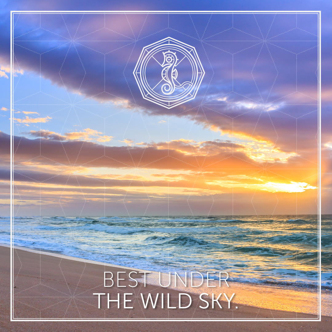 A beach holiday that’s suitable for the whole family? That’s easy. Book at a beach resort teeming with exciting activities, wondrous views and luxury accommodation. Book at Wild Coast Sun 👉 ow.ly/IZdQ50FSsAd #YourEndlessSummerResort