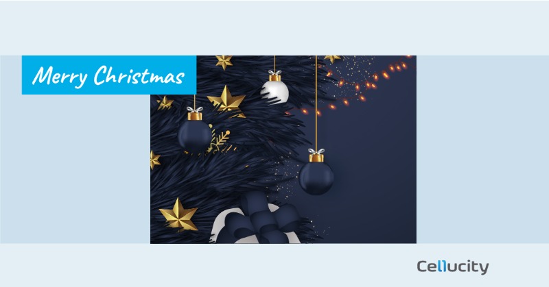 Cellucity's tweet photo. Merry Christmas! Peace goodwill and happiness to you and your
loved ones.

#merrychristmas #feastive #happyholiday https://t.co/OQvEqkEssI