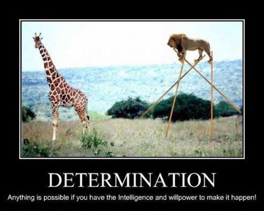 GunhildManageme's tweet photo. Determination - Anything is possible if you have the intellegency and willpower to make it happen! #Wednesdaymotivation #businesstip #intelligence #determination #willpower https://t.co/2PG0Z0LxY4
