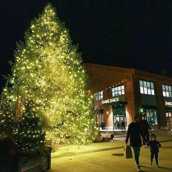 Another look at last year's holiday favorites...⁠ @arsenalyards ⁠😍🎄💖⁠ #arsenalyards #holidaylights ⁠#boston #feelingfestive⁠ #holidayseason #christmastree #happyholidays⁠ ⁠ instagr.am/p/CXx_pQ9uJre/