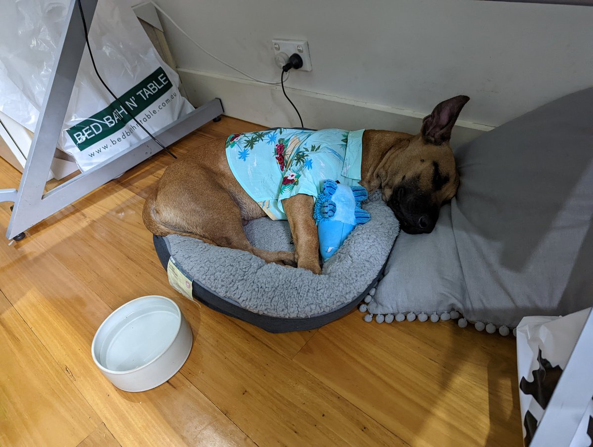 jetdominic's tweet photo. Putting this picture as my out of office message so people know I'm serious. https://t.co/ESN4RwkNw6