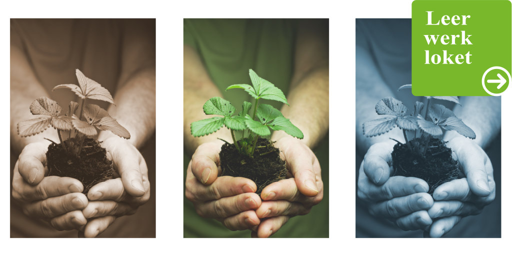 ‘Leren, hoe zo?’

In afgelopen drie weken hebben we via het drieluik willen benadrukken wat LLO betekend voor de verschillende partijen.
Om goed inzetbaar te blijven op de arbeidsmarkt, is het belangrijk dat mensen zich blijven ontwikkelen. 

Meer info: leerwerkloket.nl/leerwerklokett…