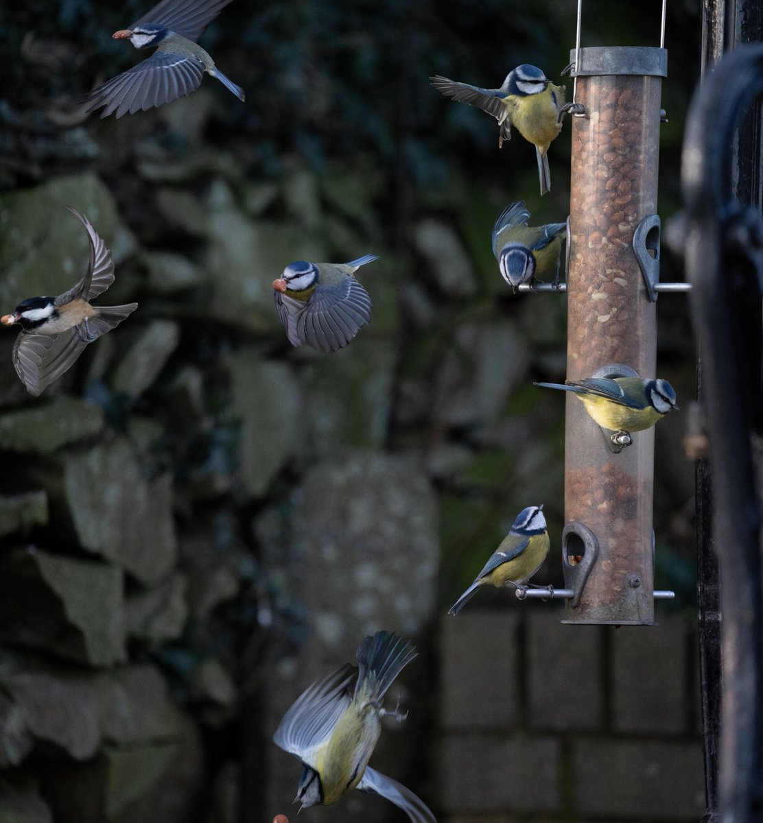 Jim Tan (@jimltan) on Twitter photo 