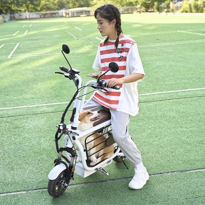 vetswithpets00's tweet photo. The #Japanese Have Invented A #Pet-Friendly E-Bike Called A #Mopet, And It's Going To Make Their #Transportation Much Easier 

https://t.co/y59TsQlqZj
#dogowners #dogs #doglovers https://t.co/3baZ8Ym08q