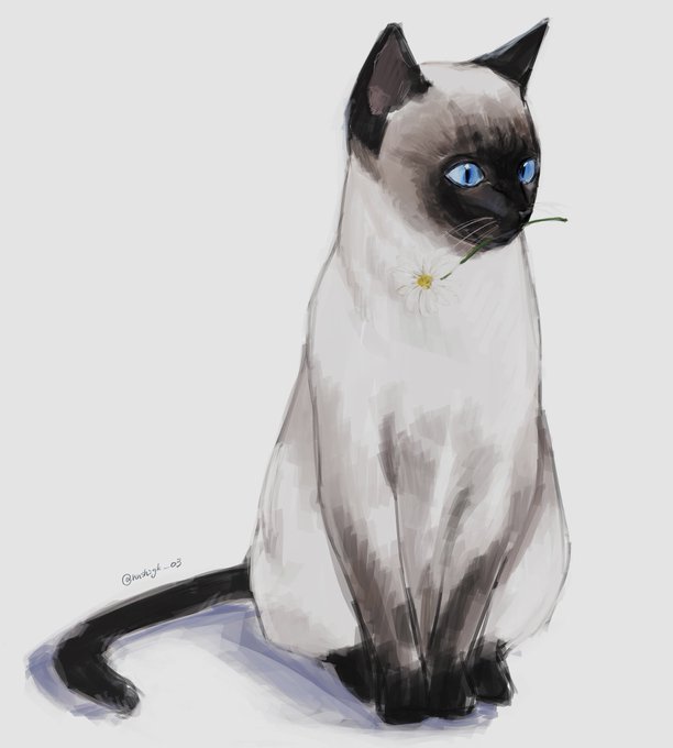🐈🌼🍊🌸

 #illustrationart 