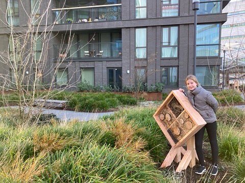 Bijenhotelkopen.nl 🐝 tweet media