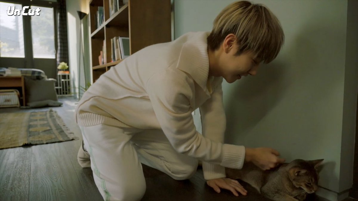 bemymarch's tweet photo. โอยยยย ดูความทาสแมวของอินจุน 55555555555555555555 แล้วงงมาก นางไปถ่ายเอ็มวีอะไรเจอแมวที่กองทุกเอ็มวี 5555555555555555555555555555 https://t.co/iF9hco9K2A