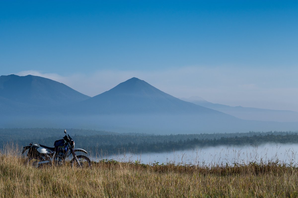 #TM2022読者投稿 
2021年　北海道のとある林道。早朝。