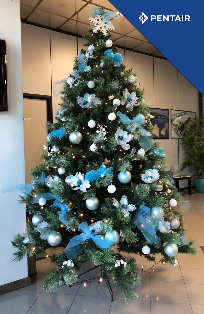 Pentair vi augura Buone Feste ed un felice Anno Nuovo!
⭐️🎄
#pentair #forlife #water #acqua #pumps #buonefeste