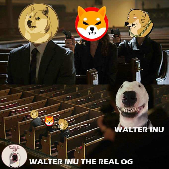 MarkusTheWhale🐳🦧 (@Markusthewhale) | Twitter