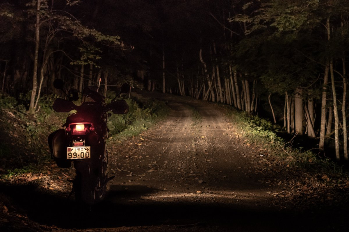 #TM2022読者投稿 
2021年　北海道のとある林道。暗闇。