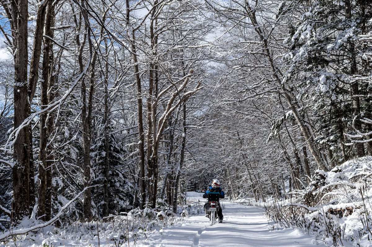 #TM2022読者投稿 
2021年　北海道のとある林道。きらきら。
