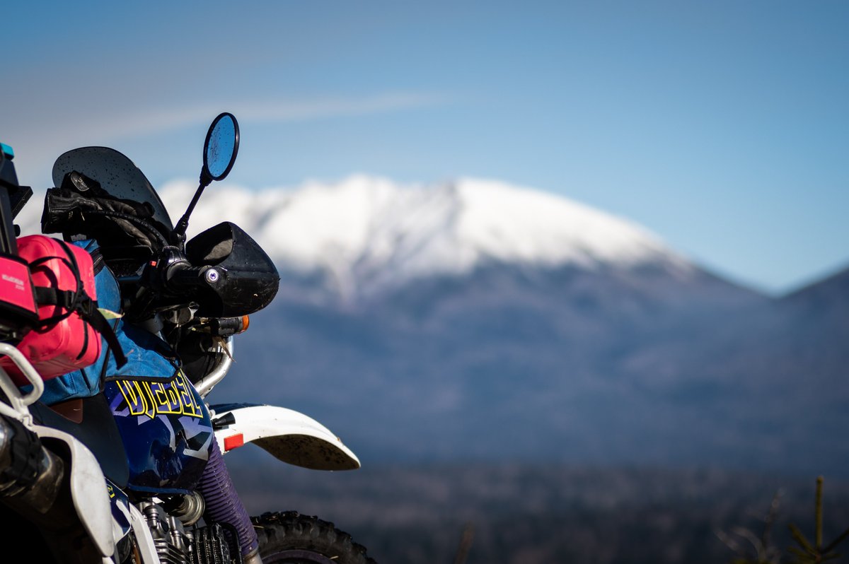 #TM2022読者投稿 
2021年　北海道のとある林道。晩秋。