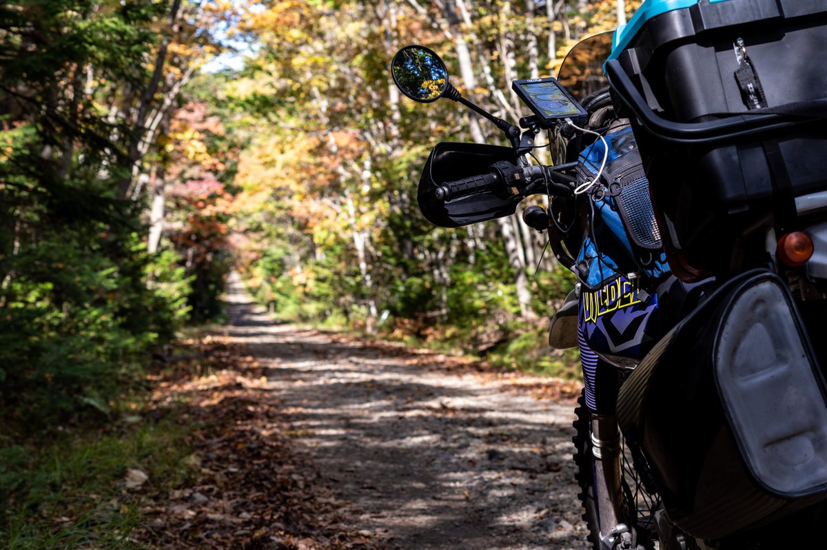 #TM2022読者投稿 
2021年　北海道のとある林道。紅葉と木漏れ日。