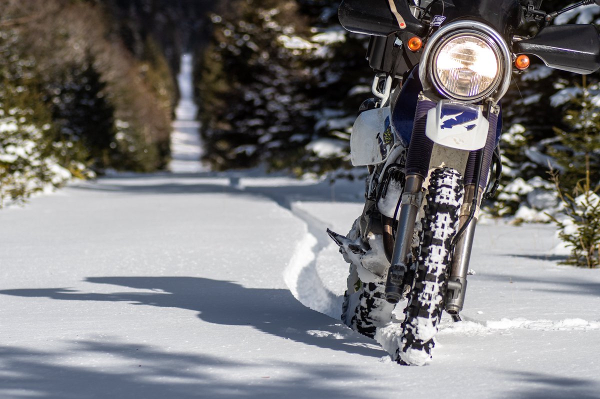 #TM2022読者投稿 
2021年　北海道のとある林道。バージンスノー。