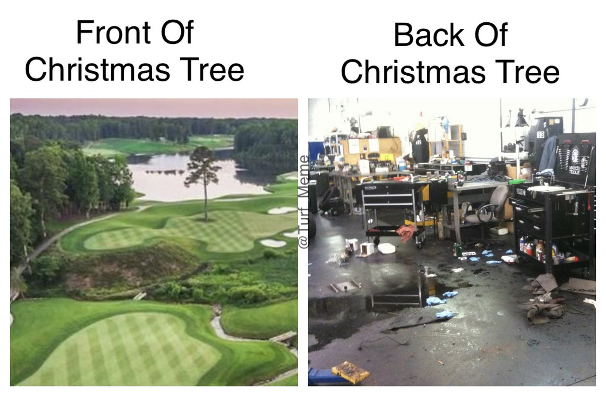 Turf Meme (@turf_meme) on Twitter photo 