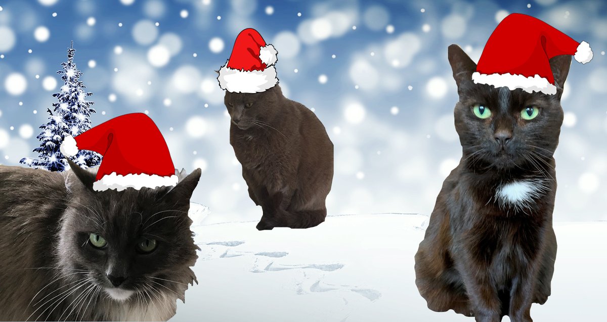 Myself, Jane and the Manifest cats (Homie, Owland &amp; Ava), would like to wish you a pawsome Christmas (top punnage!). We're now closing for the festivities until Tuesday, January 4th (and not "Monday 3th" as stated in a previous email - I started the Christmas sherry a bit early!)