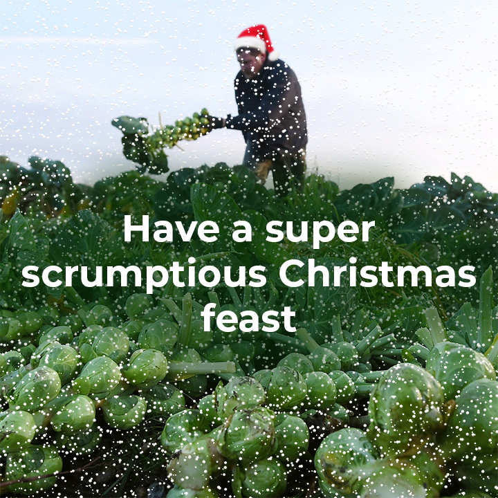 LEAF_Farming's tweet photo. With 45% of UK fruit & veg grown on #LEAFMarque certified farms there is no excuse not to have a super scrumptious #sustainable feast this Christmas.🎅🎄
#ClimatePositive #LEAF30
https://t.co/LDkiHkpBDe https://t.co/6B8VX2U4q8