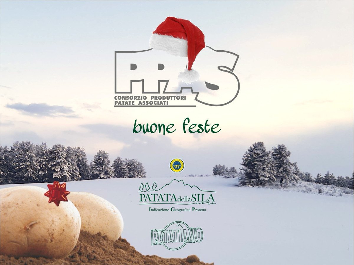 PPAS19111189's tweet photo. Buone Feste da tutti noi🎄❤️🥔
#buona #protetta #unica https://t.co/NIErkJRc2T
