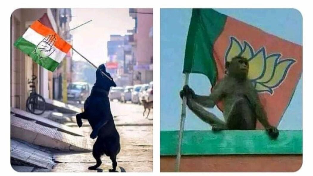 akshit_2000's tweet photo. The Biggest reason behind #MonkeyvsDog gangwar
😂😂😂😂 https://t.co/AdPbbFZvyB