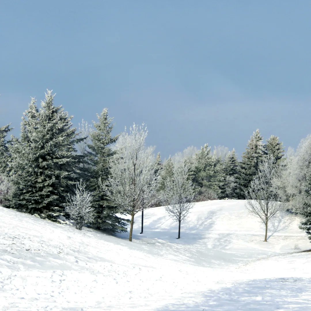 May peace flow like a river through the very depths of your being. May joy rise within you like the morning sun. God offers fresh mercies and real power for each new day. Lay hold of them.