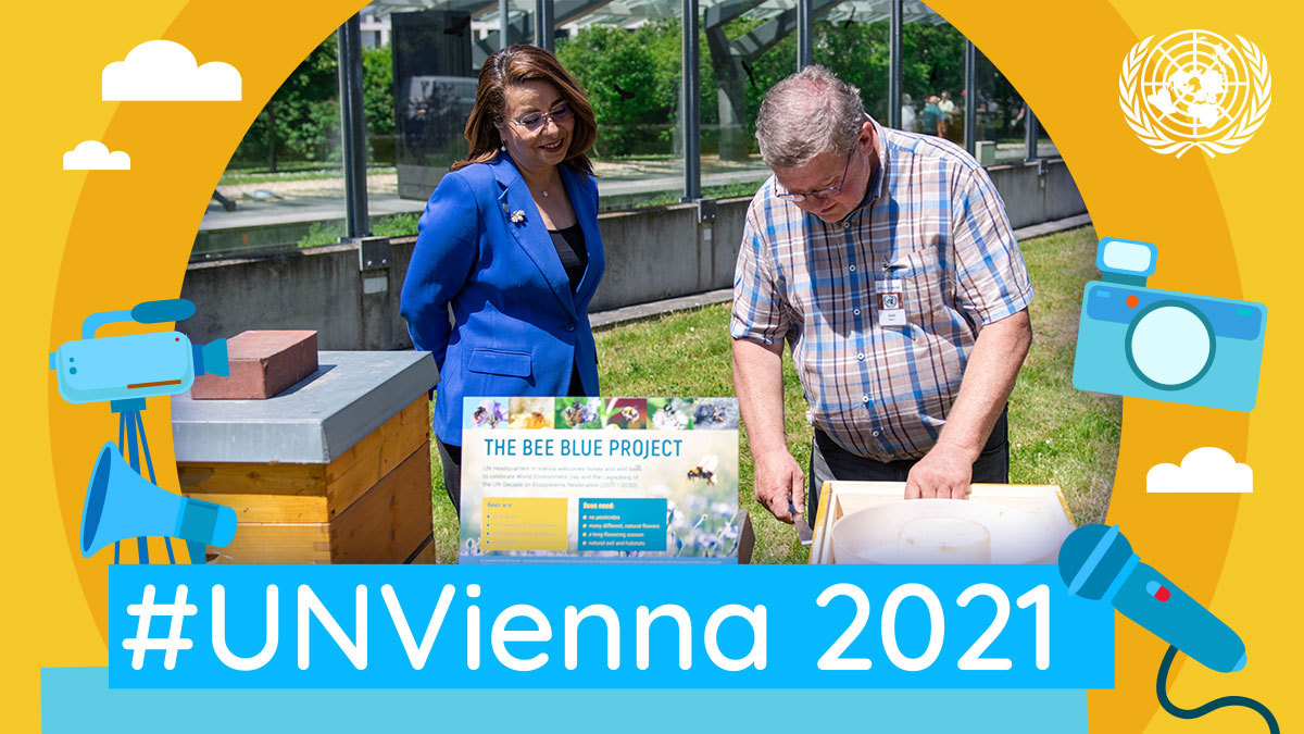 UN_Vienna's tweet photo. #Lookingback2021 #UNVienna received beehives & an insect hotel for #WorldEnvironmentDay. ๐ The new home to honey & wild bees is part of the #BeeBlueProject - an initiative to protect bees as top pollinators of our #Ecosystem @GhadaFathiWaly ๐ท https://t.co/Ewm8VWfTQf https://t.co/j0mvPFlRD8