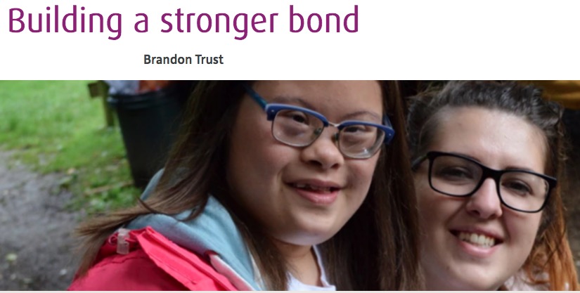 Useful insights for #trustees from a well planned and executed #Governance review actionplanning.co.uk/case-studies/b…