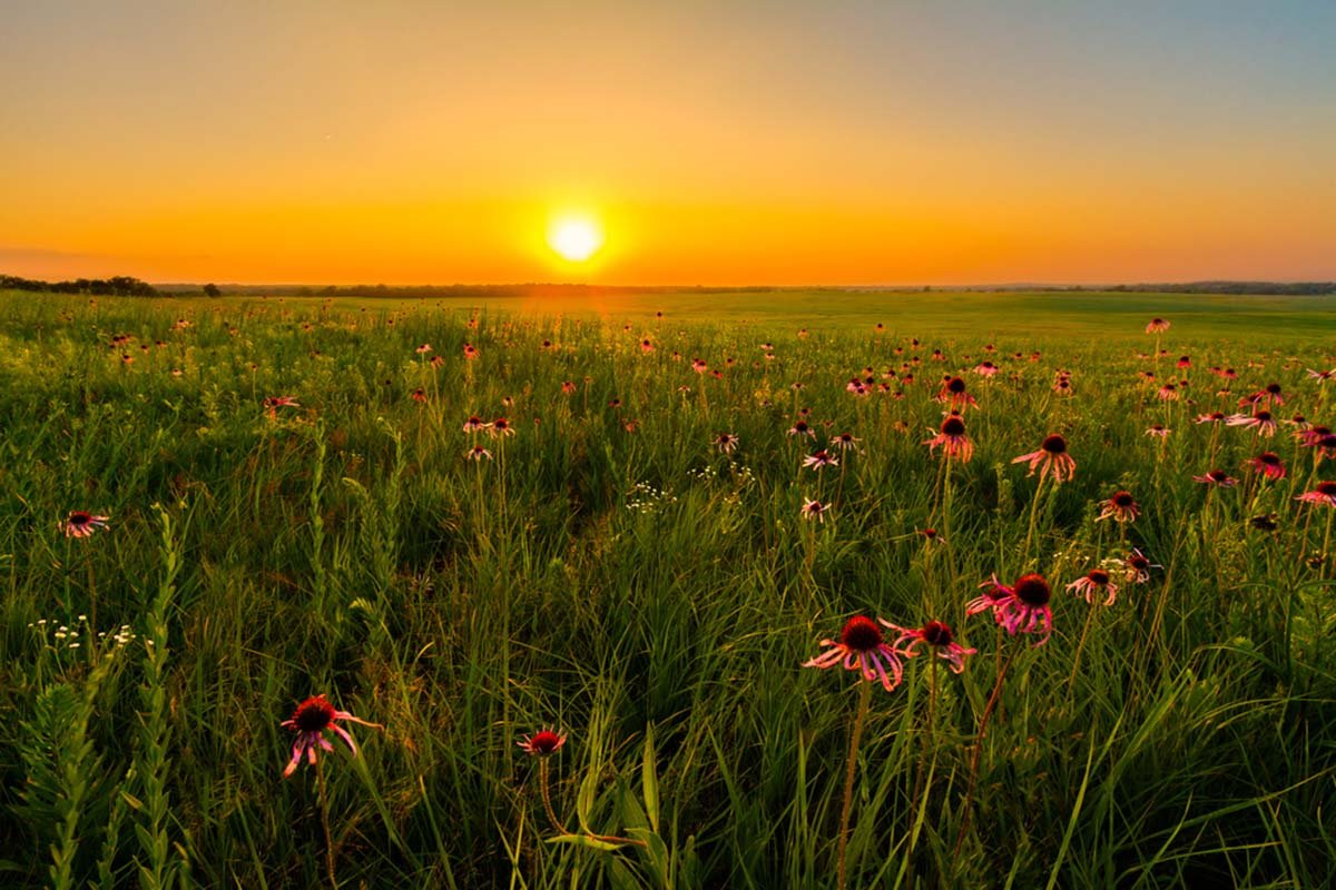 MiddleWestReview (@middlewestrev) on Twitter photo Middle West Review seeks submissions for a special issue on Midwestern Environmental History. See all details here: networks.h-net.org/node/73374/ann… @HNet_Humanities <a href="/HNet_Reviews/">H-Net Reviews</a> <a href="/EnvHistJournal/">Environmental History</a> @envhistnow <a href="/envhistworkshop/">Environmental History Workshop</a> <a href="/WhaHistory/">Western History Association</a> <a href="/WHAGrads/">WHA Grad Caucus</a> <a href="/UNLGPQJournal/">GreatPlainsQuarterly</a> <a href="/The_OAH/">Organization of American Historians</a> #twitterstorians Middle West Review seeks submissions for a special issue on Midwestern Environmental History. See all details here: networks.h-net.org/node/73374/ann… @HNet_Humanities <a href="/HNet_Reviews/">H-Net Reviews</a> <a href="/EnvHistJournal/">Environmental History</a> @envhistnow <a href="/envhistworkshop/">Environmental History Workshop</a> <a href="/WhaHistory/">Western History Association</a> <a href="/WHAGrads/">WHA Grad Caucus</a> <a href="/UNLGPQJournal/">GreatPlainsQuarterly</a> <a href="/The_OAH/">Organization of American Historians</a> #twitterstorians