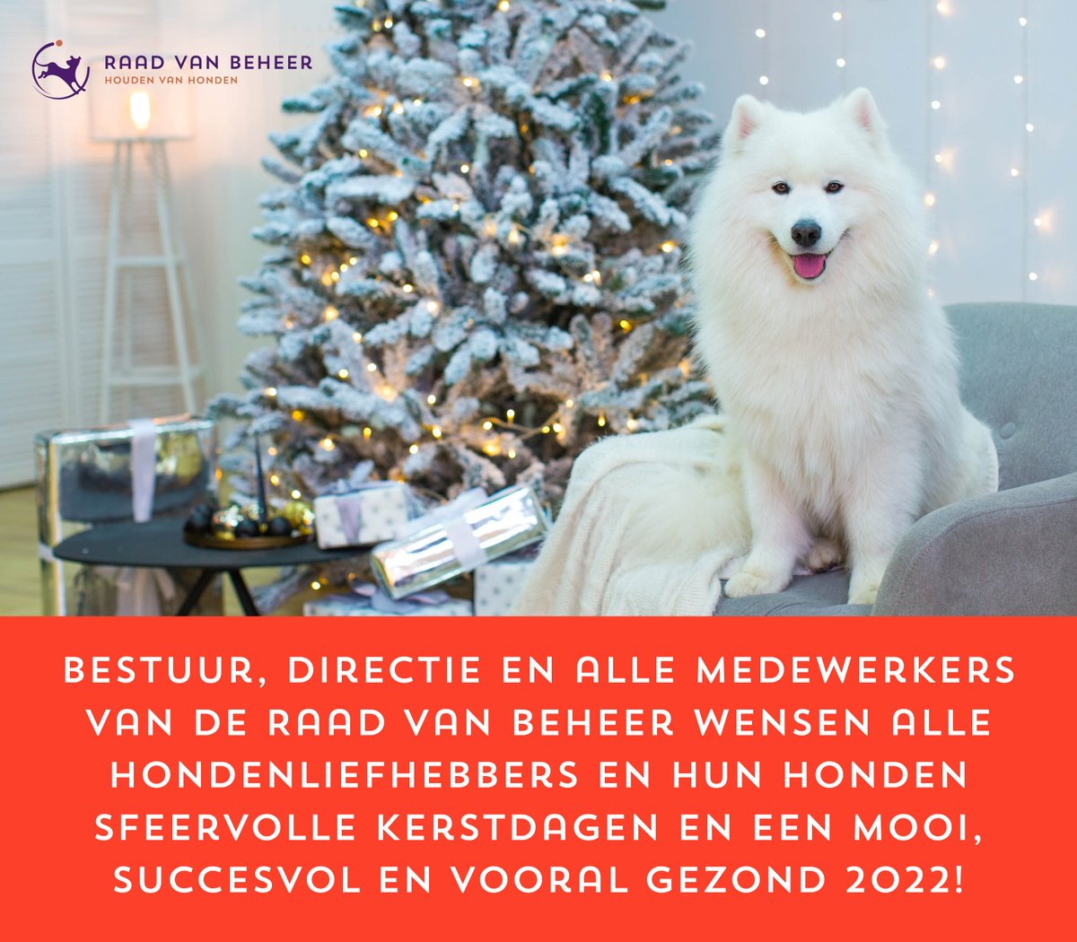 Raad van Beheer (@raadvanbeheer) on Twitter photo 