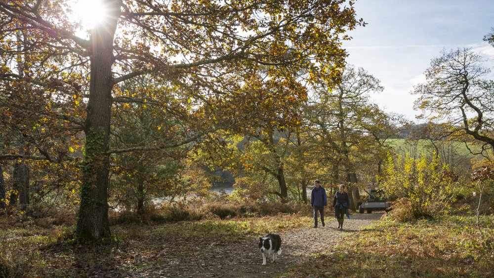 Feeling the need to stretch your legs and get some fresh air? Here are our favourite walks in the south west: nationaltrust.org.uk/lists/walks-in…

#NationalTrustSouthWest