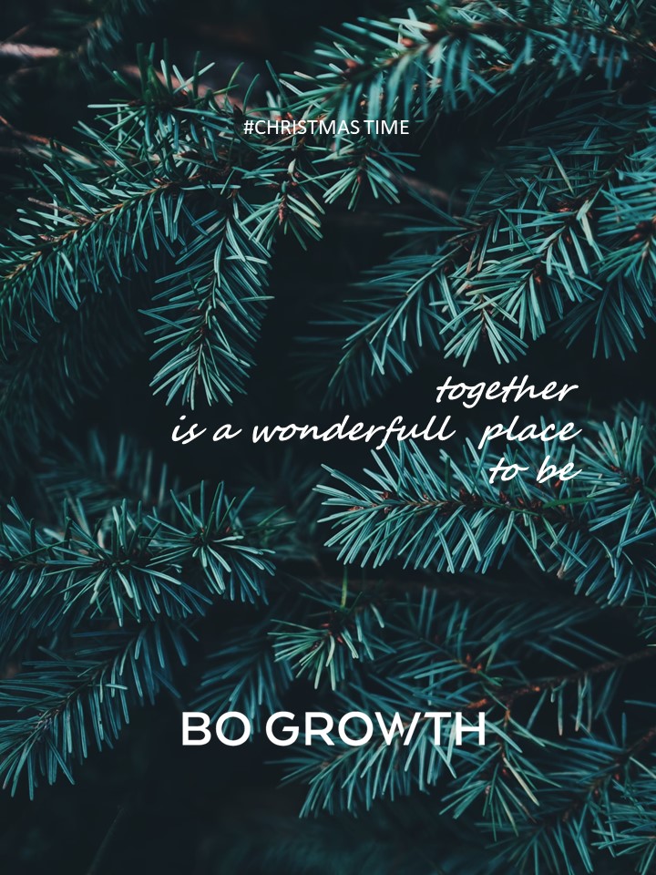 Bo_Growth's tweet photo. BO GROWTH os desea unas Felices Fiestas en compañía de los que más importan. 
Porque juntos es maravilloso estar.

#christmastime #felicesfiestas #bogrowth https://t.co/1Uz3g0aDEk