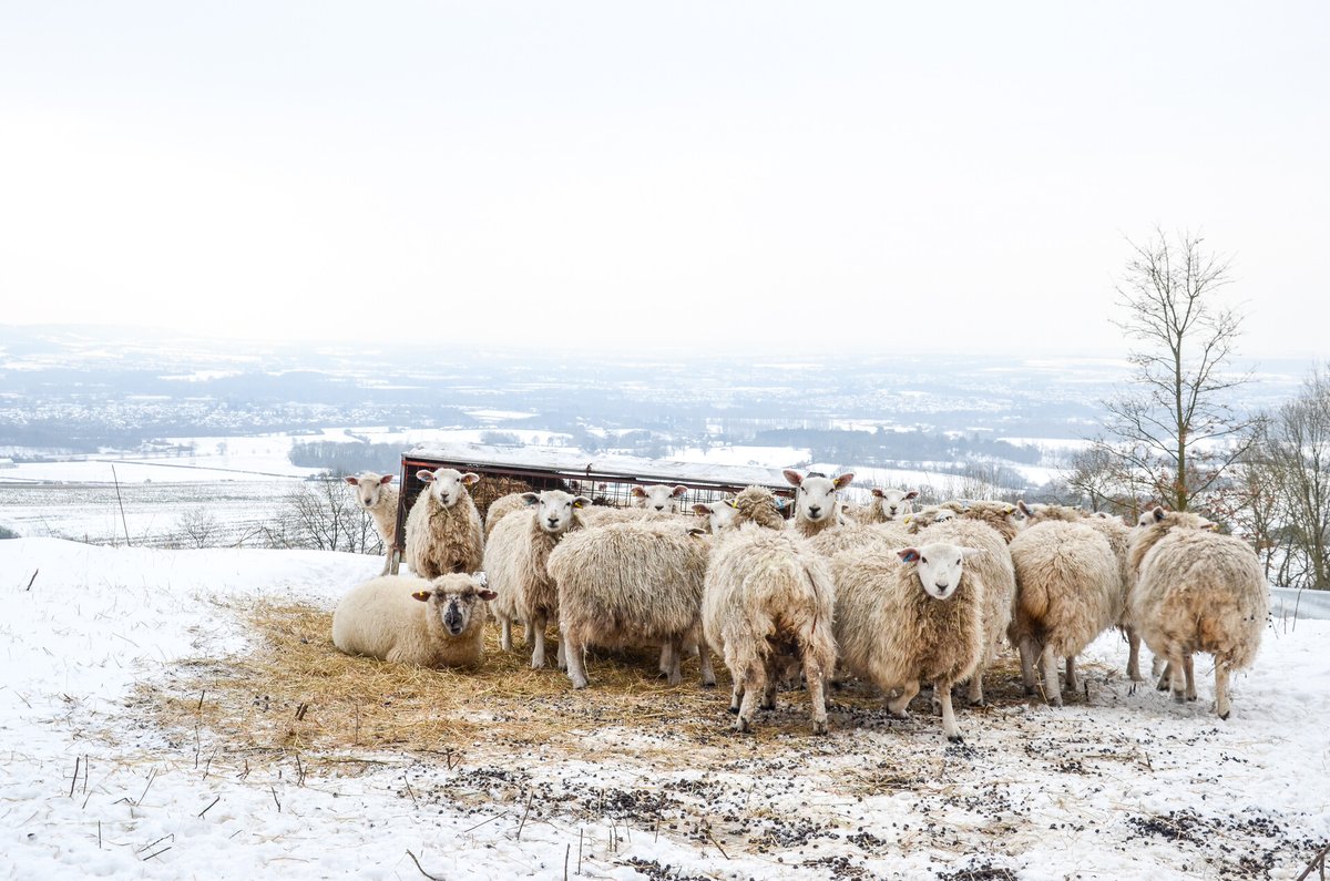 KentDownsNL's tweet photo. 🥁 And the #winners of our #bemoreoutdoor #photography #competition have been announced! 

👉 https://t.co/xyRsEWiHE1

Well done to all our winners and huge thanks to everyone who entered or supported with prizes or promotion, we have been so so impressed🥰 https://t.co/ThWAXgnGTY