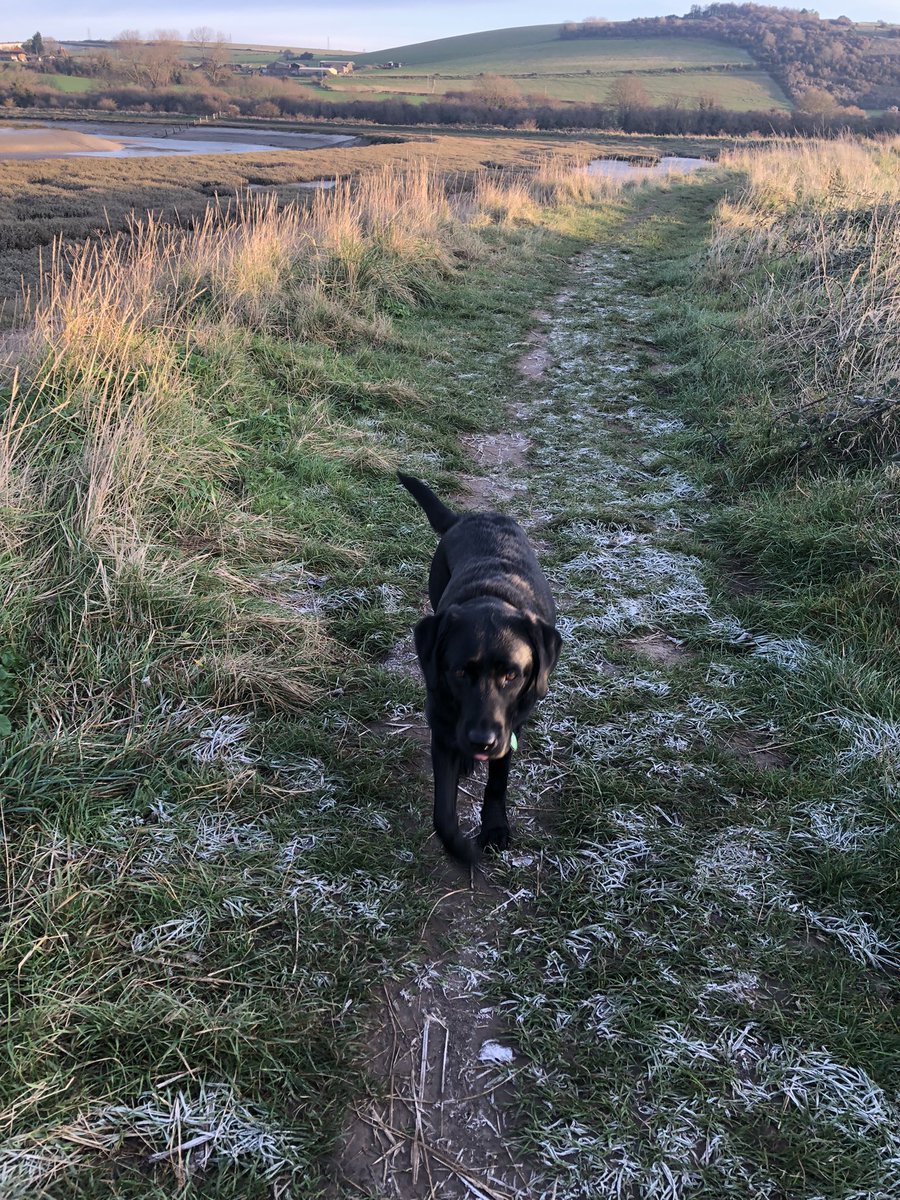 maryferrier's tweet photo. A beautiful early morning walk! #RiverAdur #ShorehamBySea #SouthDowns #SouthDownsNationalPark https://t.co/AnTbQPwEkI