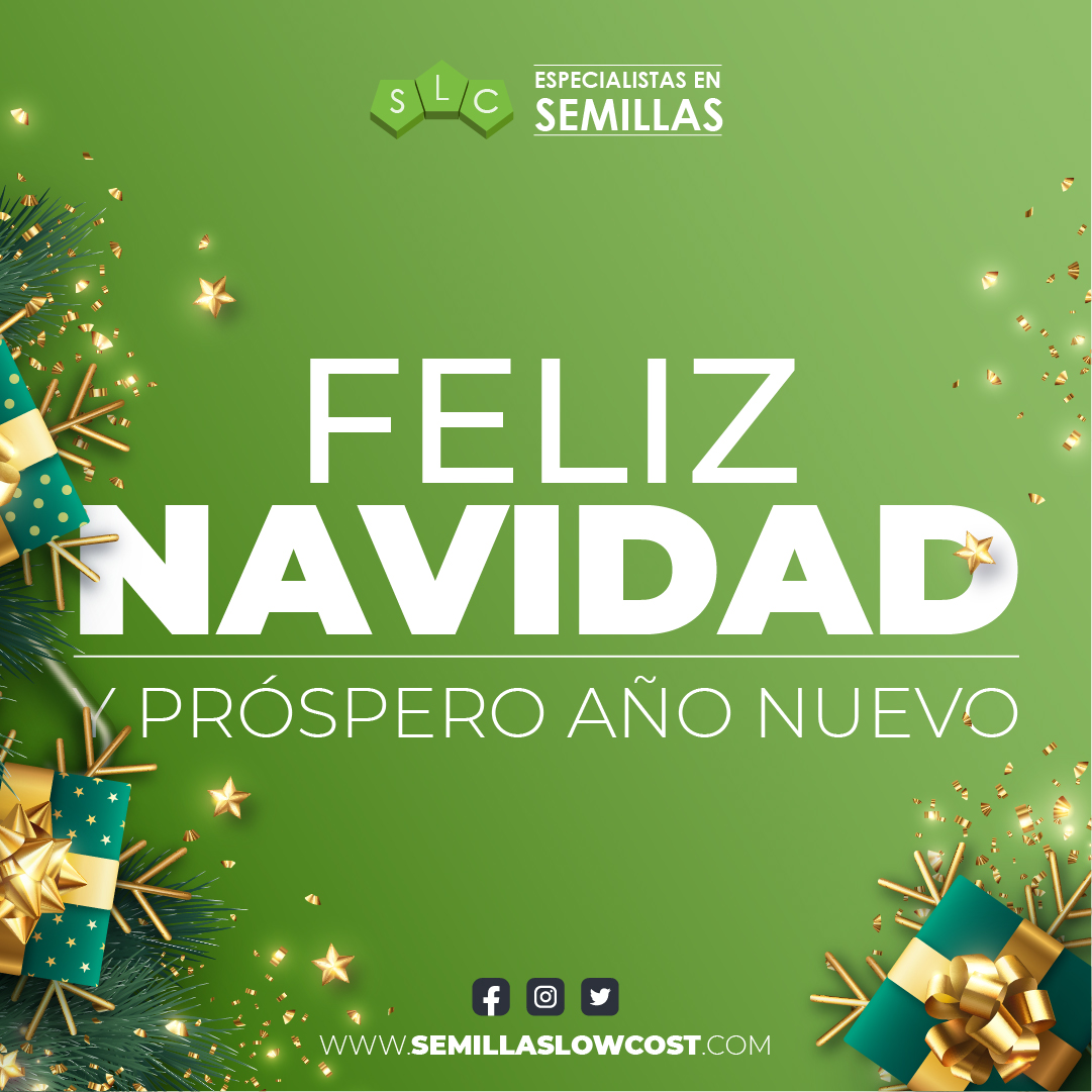 SemillasLowCost's tweet photo. ❄ El invierno ha llegado y la navidad también.

🤝🏻Desde el equipo de Semillas Low Cost queremos agradeceros a todos y cada uno de vosotros la confianza que depositáis en nosotros.

🎄 Una vez más, muchas gracias. Feliz Navidad y próspero año nuevo.

#SLC #cannabis #420 #weed https://t.co/NbUbqGrETk