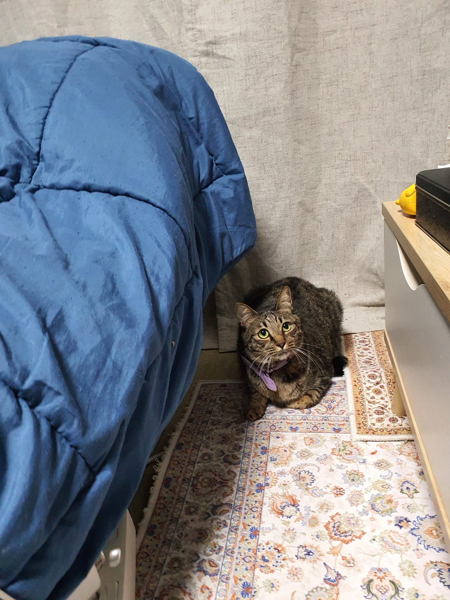 마스크써서 못알아보니...? 그치만 마스크도 2년째인걸..