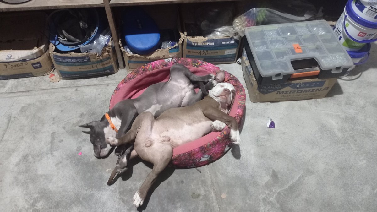 Si chiquilínes ....