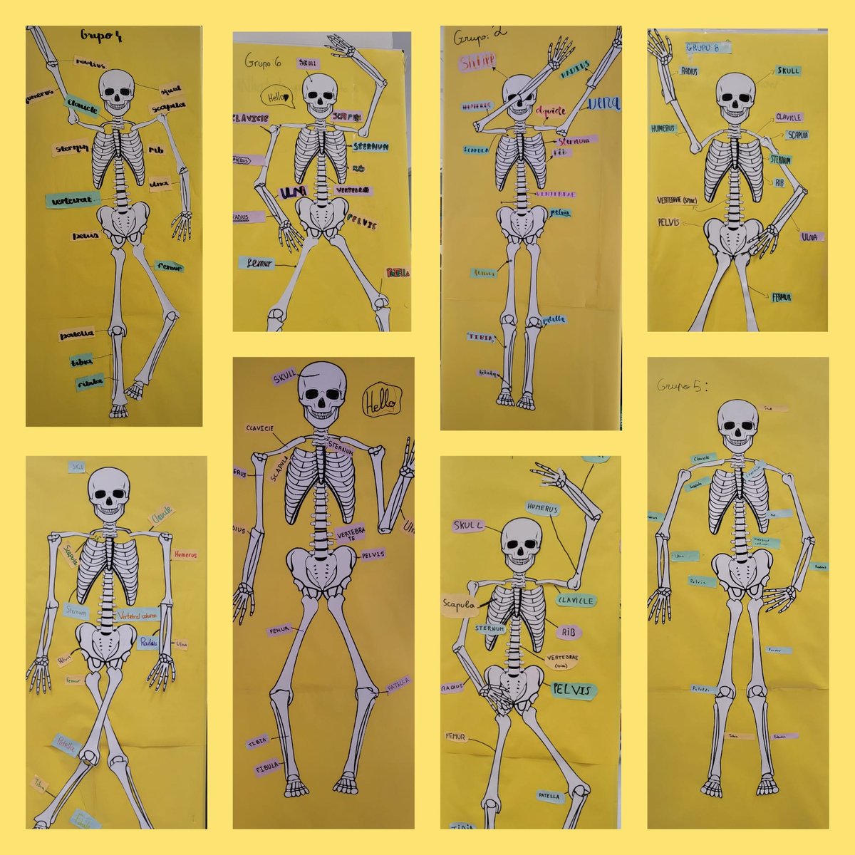 #Portaceli21 Aprendiendo los huesos del cuerpo en 5°Primaria ACL 💀